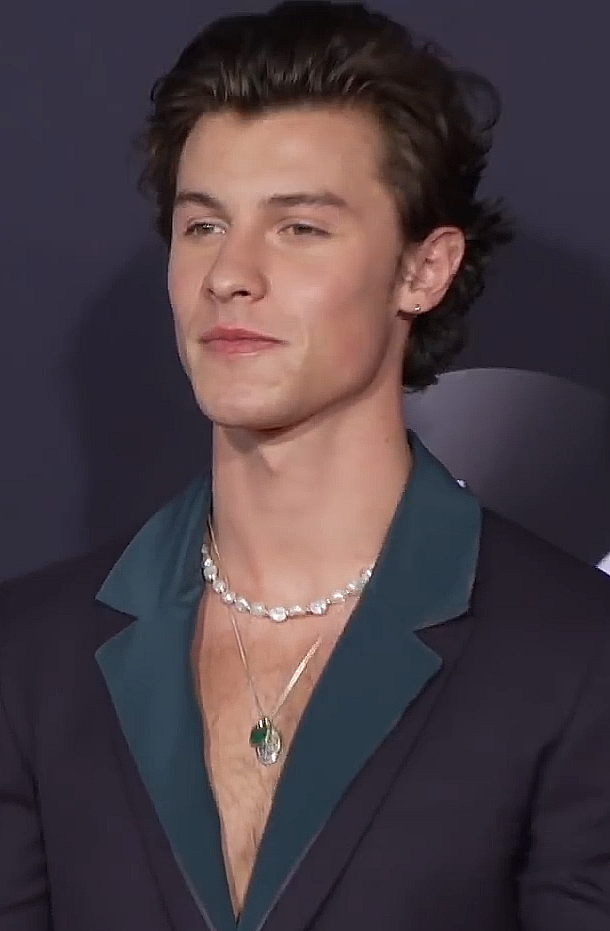 Shawn Mendes performing live in concert during 2026 Tour